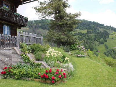 Bild 34 aus  Untererschbaum