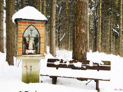 Bild 23 aus  Bio-Bauernhof Haunschmid