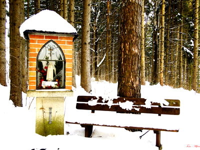Bild 23 aus Bio-Bauernhof Haunschmid