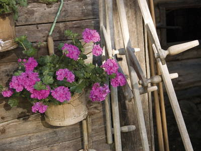 Bild 16 aus  Ringlerhof