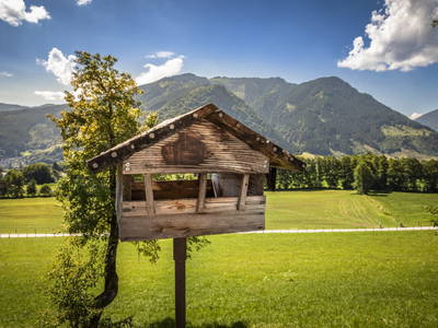 Bild 46 aus  Windischlehen