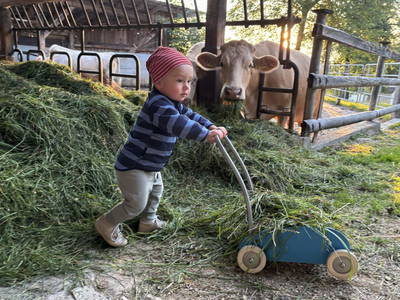 Bild 8 aus  Biohof Besenbäck