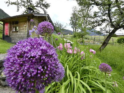 Bild 86 aus  Biohof Mathies