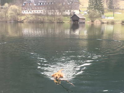 Bild 92 aus  Holzknechthütte