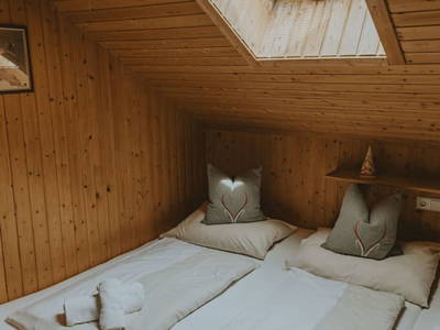 Bild 73 aus  Reitlehenalm