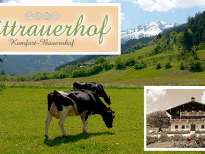 Bild 30 aus  Familienbauernhof mit Märchenkulisse - ZITTRAUERHOF