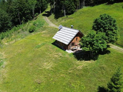 Bild 61 aus  Almhütte Meierle