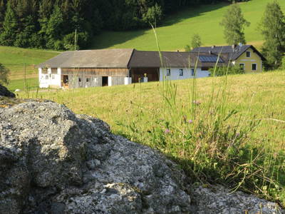 Bild 45 aus  Pointnerhof Aschauer