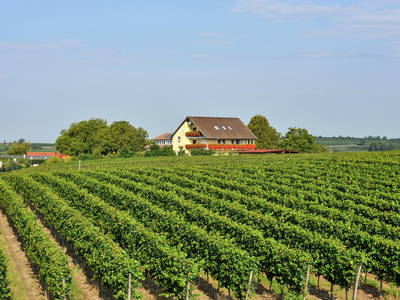 Bild 2 aus  Ferienhof Walter