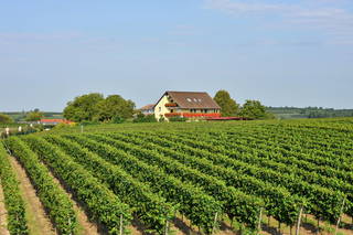 Ferienhof Walter aus Freiburg (Breisgau)