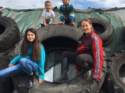 Bild 29 aus  Marienhof