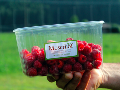 Bild 16 aus  Moserhof