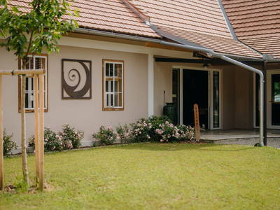 Bild 3 aus  Monschein Weingut Straden