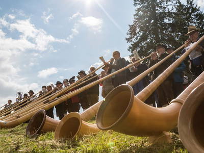 Bild 35 aus  Landhaus Rombach