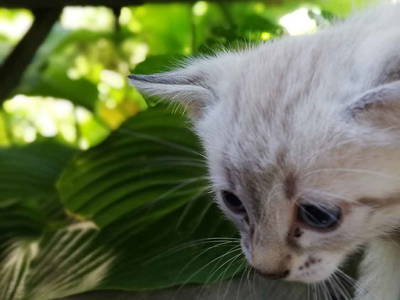 Bild 17 aus  Ansitz Grustdorf