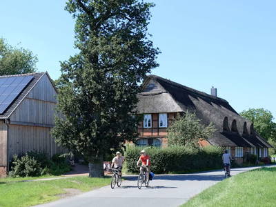 Bild 9 aus  "Auf dem Deich" Ferienwohnungen im Bremer Blockland