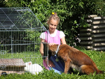 Bild 45 aus  Haus Bergquell mit Pferdestall