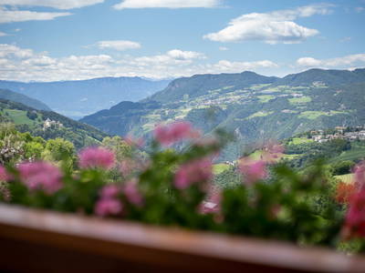 Bild 7 aus  Pliegermoar  - Adults Only