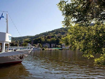 Bild 11 aus  Ferienwohnung Weingut Mathy Schanz