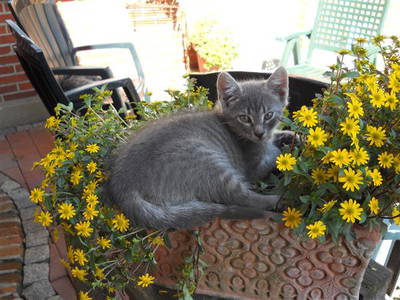 Bild 21 aus  Hof  Schmörholm Urlaubs- und Früchtehof