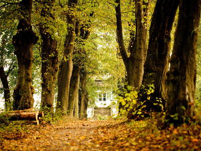 Bild 16 aus  Gut Boltenhof