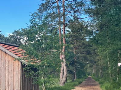 Dört Moor / Nordpfade