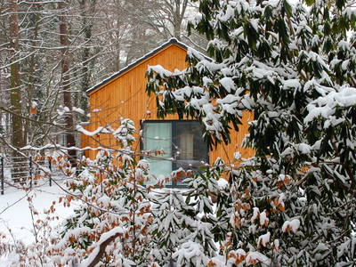 Bild 5 aus  Annas Haus am waldreichen Stadtrand Berlins