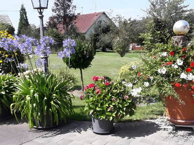 Bild 13 aus  Feriendomizil Berta Benzingen