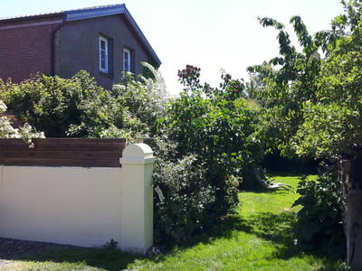 Bild 39 aus  Ferienhof Nielson