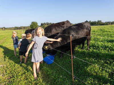 Bild 20 aus  LandSelection Hagerhof