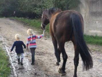 Bild 8 aus  Baustrup Hof