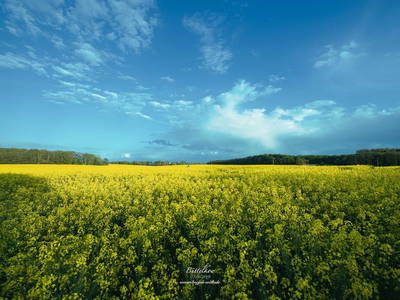 Bild 8 aus  Ferienresidenz Glück auf dem Lande