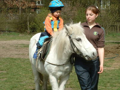 Bild 7 aus  Ferienbauernhof