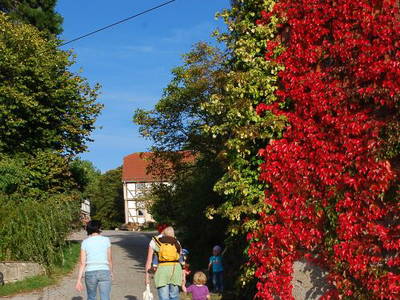 Bild 6 aus  Gutshof Baumbach