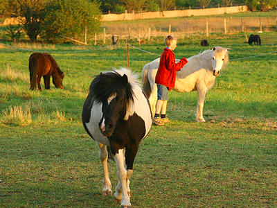 Bild 9 aus  Ferien in Zempow