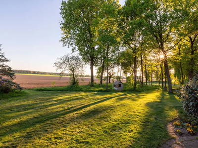 Bild 23 aus  Kreuger's Hof