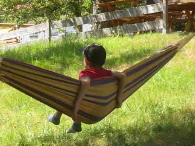 Bild 9 aus  Schingerhof