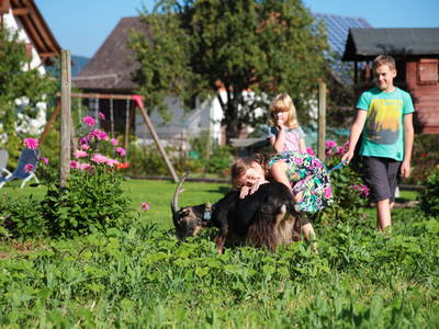 Bild 19 aus  Ferienhof Burghöfe