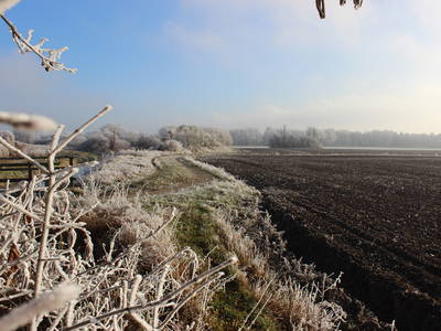 Bild 6 aus  Annas Haus am waldreichen Stadtrand Berlins