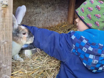 Bild 39 aus  Hof Alte Zeiten