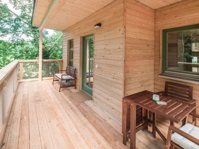 Bild 9 aus  Mainbaumhaus