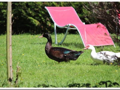 Bild 24 aus  Maison Cheval Blanc