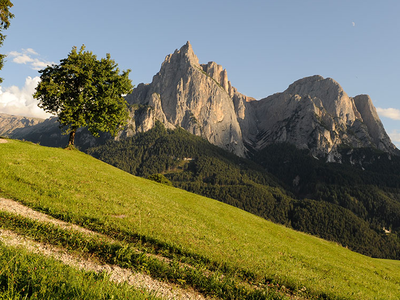 Bild 15 aus  Pristinger Hof