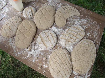 Bild 18 aus  Pferde- und Freizeithof Koplin