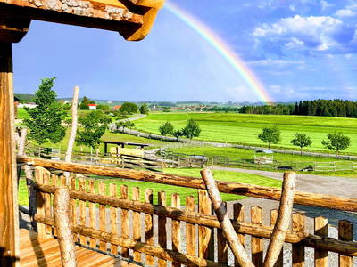 Bild 7 aus  Drehers Erlebnishof