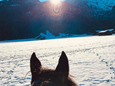 Bild 32 aus  Bichlerhof