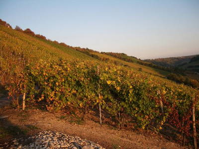 Bild 20 aus  Ferienhof Ott im Romantischen Franken bei Rothenburg o.d.T.