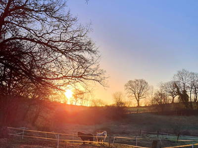 Bild 20 aus  Hof Hospitalmühle