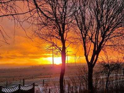 Bild 45 aus  Küstenhof Oldewurtel