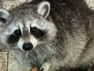 Bild 26 aus  Luminohof